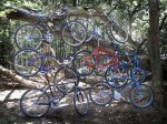 ClassicRidebiketree_4.jpg