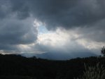 IMG_5308.jpg