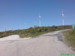 DSC00804.jpg
