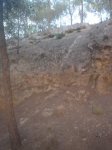 DSC07229-1.JPG