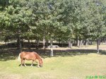 DSC00845.jpg