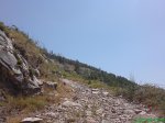 DSC00869.jpg