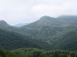 IMG_5858 (Large).JPG