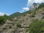 DSCN4957.JPG
