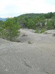 DSCN4978.JPG