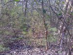 LM_0098.jpg
