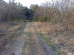 LM_0112.jpg