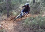 DSC_0203.jpg