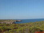 DSC00917.JPG