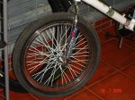 DSC00153_resize.JPG