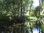 DSC01757.jpg