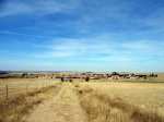 296_San_Pedro_de_Rozados_2.JPG