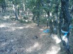 m_IMAGE_035.jpg
