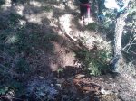 m_IMAGE_059.jpg