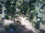m_IMAGE_069.jpg