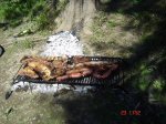 BICHO-BOLITA-ASADO.jpg