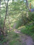 DSCN3907.JPG