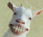 cabrito.jpg