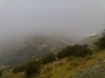06092008387.jpg