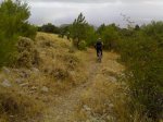 06092008392.jpg