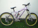 pepino fr 3.jpg
