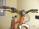 DSC01630.jpg