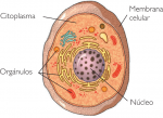 20070417klpcnavid_23.Ees.SCO.png