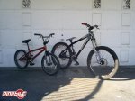 pbpic1009758.jpg
