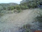 DSC00228.jpg
