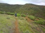 DSC00242.jpg
