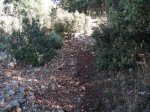 DSCN2299.jpg