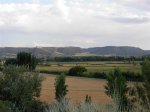 DSCN0348 (Large).JPG