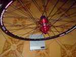 DSC06282.jpg