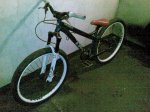 30102008055.jpg