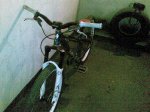 30102008057.jpg