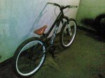 30102008061.jpg