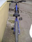 DSC00344.JPG