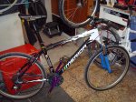 DSC01007.jpg