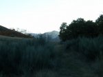 PB130009 (Copiar).JPG