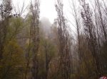 hoces del rio duraton 013.jpg