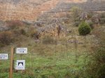 hoces del rio duraton 024.jpg