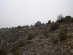 hoces del rio duraton 027.jpg