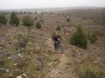 hoces del rio duraton 028.jpg