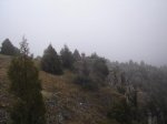 hoces del rio duraton 018.jpg