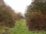 hoces del rio duraton 065.jpg