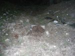DSCN2336.jpg