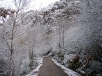 PB250006 (Copiar).JPG