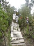 DSC05560.jpg