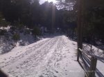 28112008059.jpg
