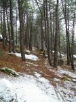 DSCF0056.JPG